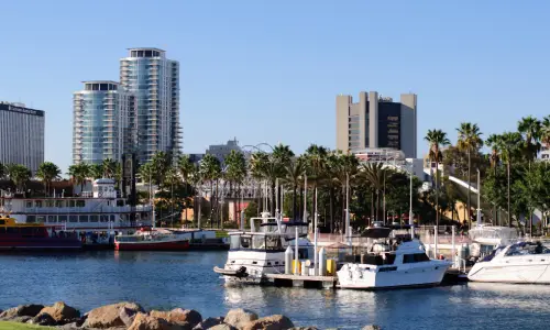 A marina in Los Angeles where several boats are lined up in the water.