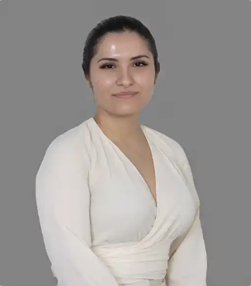Lien Negotiator