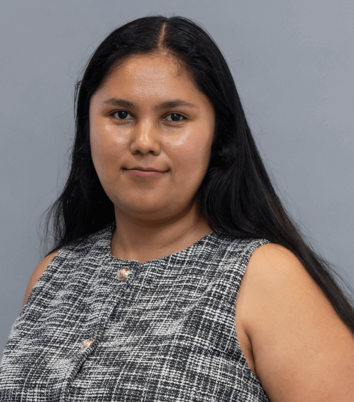 Hillstone Law Case Manager