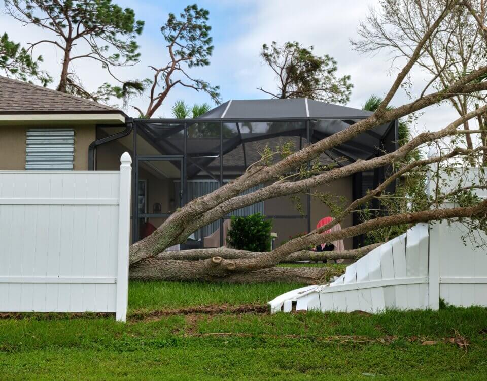 Fallen Tree Branch Injuries: Who Is Liable?