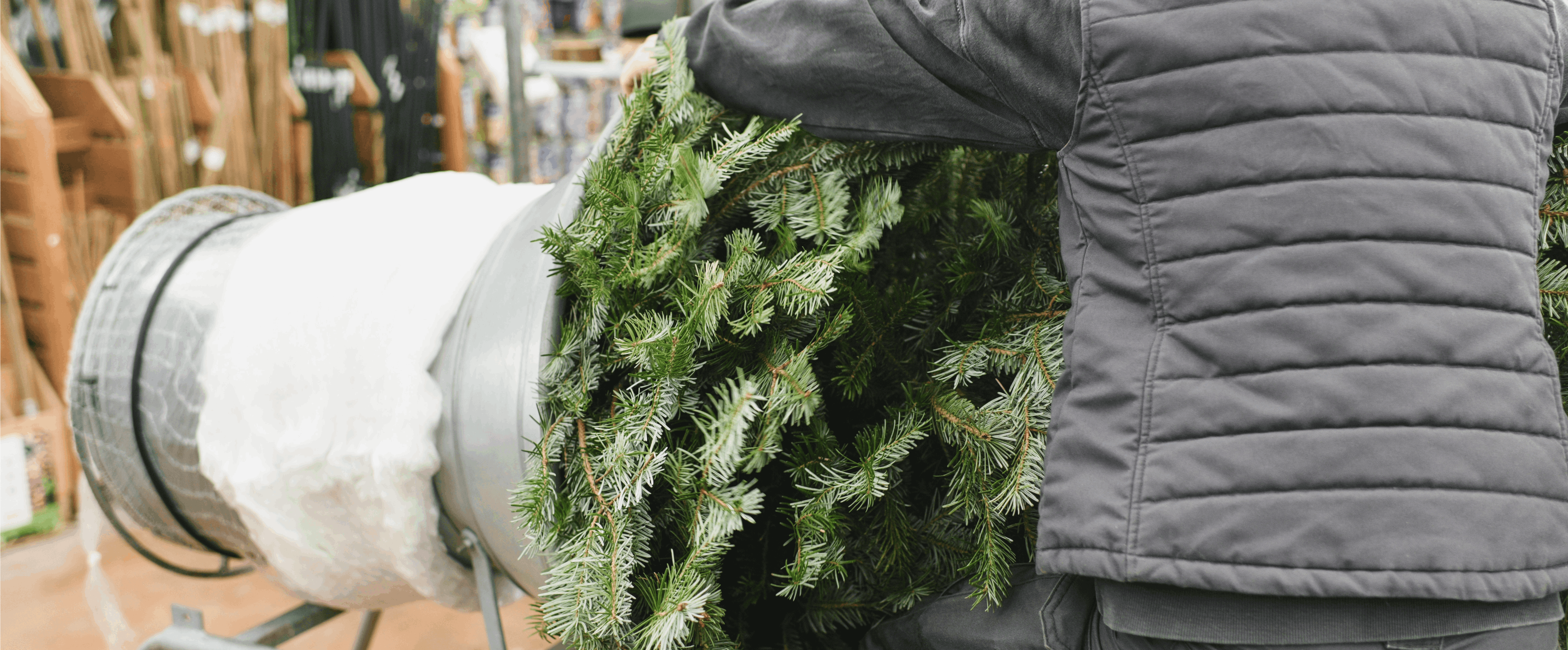 Christmas Tree Lot Accidents