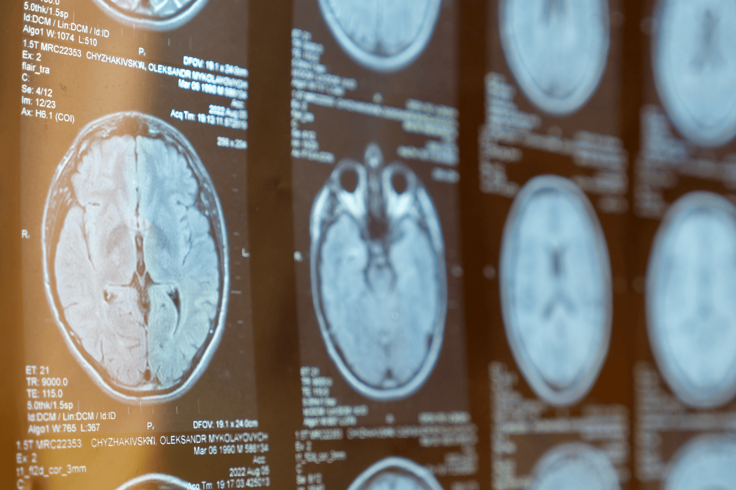 shutterstock_2517380891