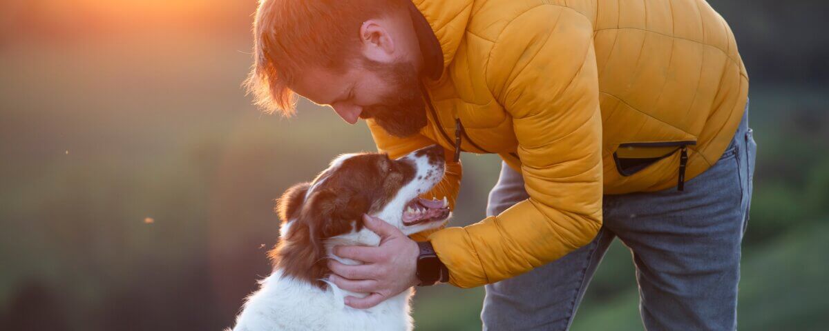 When a Dog Owner May Not Be Held Responsible, Hillstone Law Explains
