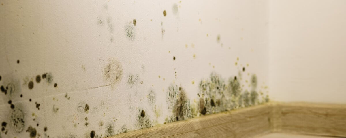 Can You File a Personal Injury Lawsuit for Mold Exposure